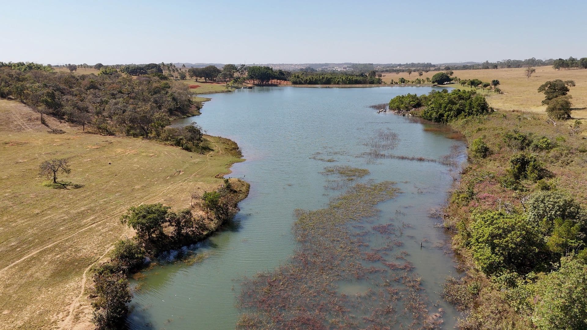 Reserva do Lago