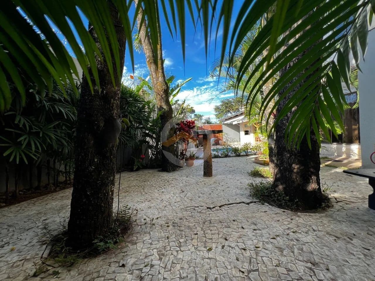 Imagem 2