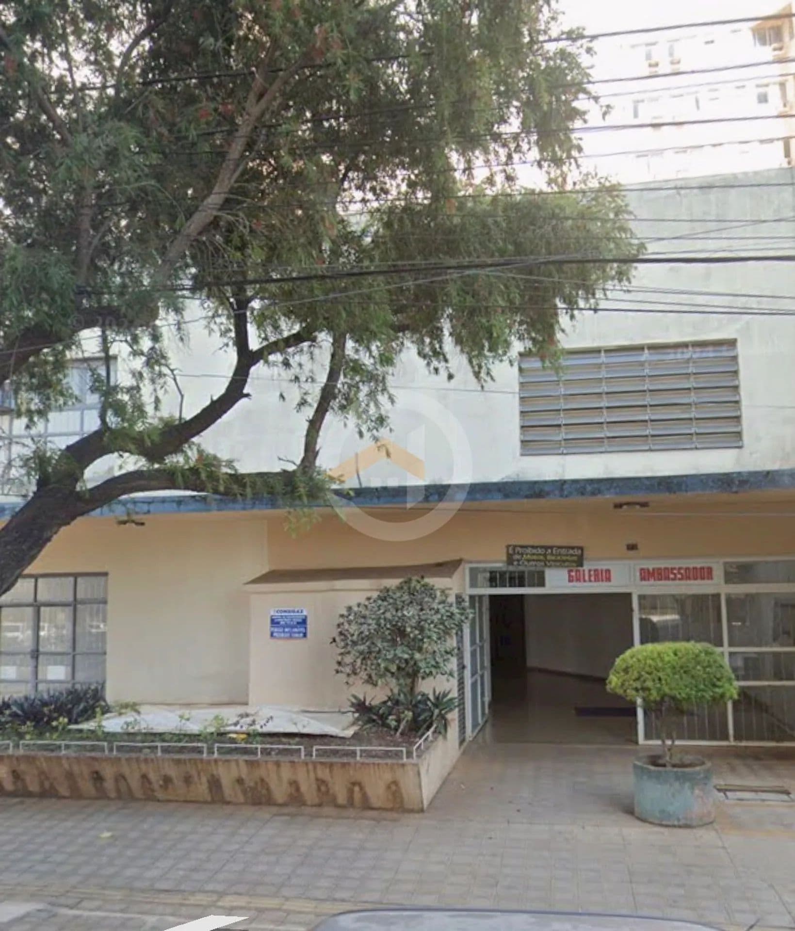 Imagem 3