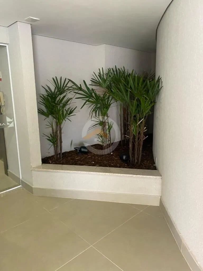 Imagem 4