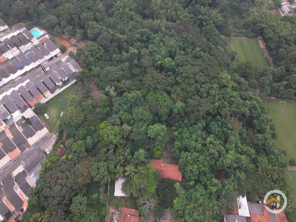 Imagem 3