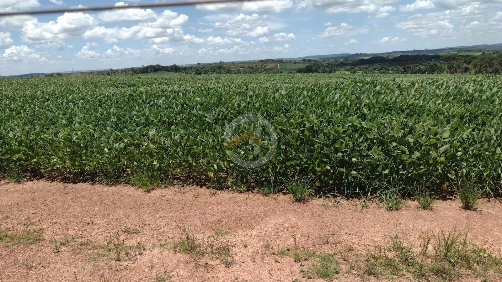 Fazenda em Silvania de 10 Alqueires com agua , 4 km do Asfalto