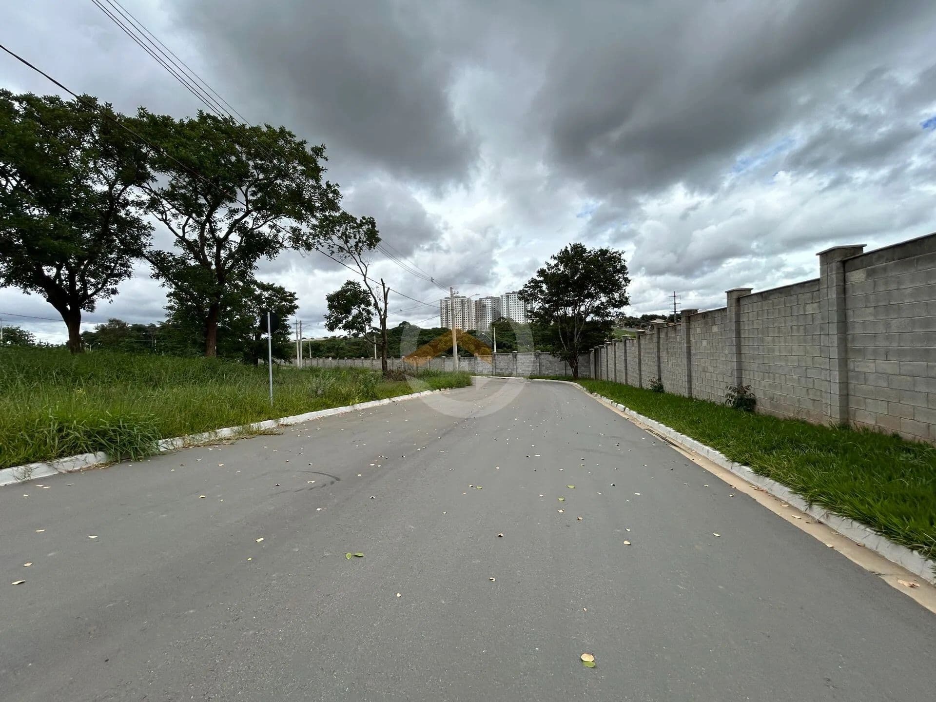 Imagem 6